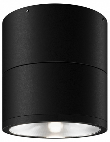 Накладной светильник Maytoni Outdoor Spin O310CL-L12GF3K 