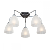 Потолочная люстра Vitaluce V4500 V4500-9/5PL