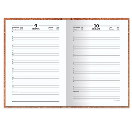 Нарушена упаковка!  <200913> Ежедневник датированный на 4 года А5 135х207 мм BRAUBERG ламинированный 192 л., "Кожа", 129239 (129239)