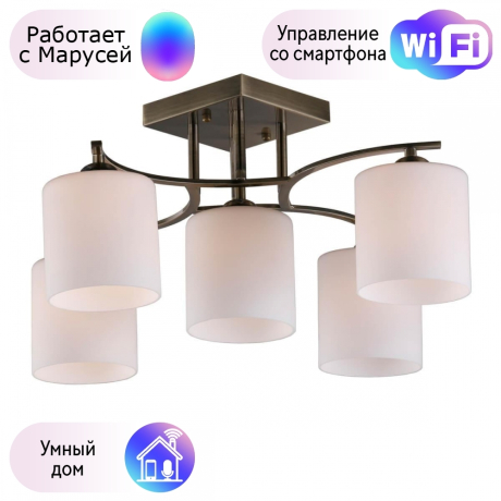 Люстра с поддержкой Маруси потолочная Omnilux OML-55317-05-M 