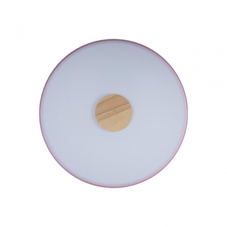 Накладной светильник Loft it Axel 2 10003/24 Pink 