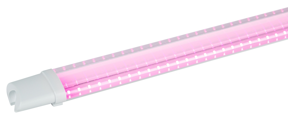 Светильник для растений, фитолампа светодиодная линейная ЭРА FITO-24W-RB-N красно-синего спектра 24 Вт Б0061425 