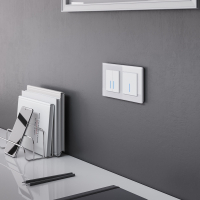 Выключатель двухклавишный сенсорный с управлением по Wi-Fi (белый) Werkel W4520601