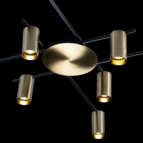 Люстра потолочная Loft It Tribes 8120C-10 