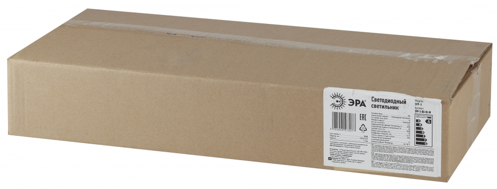 Уличный консольный светильник Эра SPP-5-60-5K-W (Б0029441)