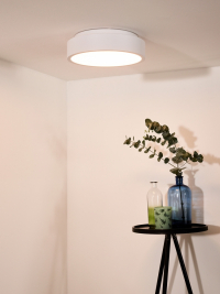 46100/20/31 Потолочный светодиодный диммируемый светильник Lucide Talowe