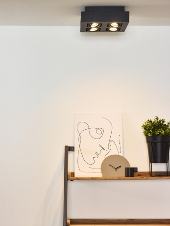 09119/21/30 Потолочный накладной светильник Lucide Xirax 