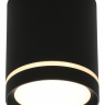 Накладной светильник Omnilux Capurso OML-102439-05 