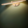 Подсветка для картин Arte Lamp Ronnie A8025AP-1PB