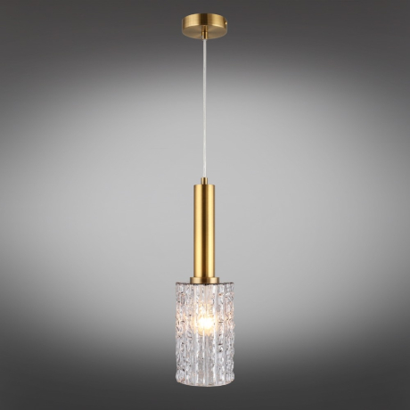 Подвесной светильник с лампочкой APLOYT APL.310.16.01+Lamps 