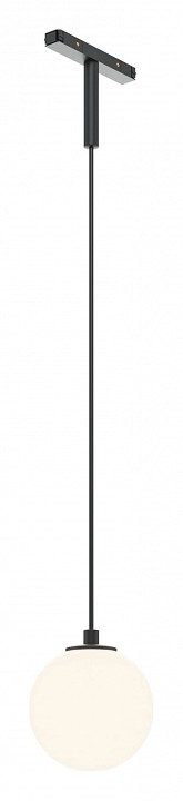 Подвесной светильник Maytoni Technical Luna TR178-1-5WTW-B