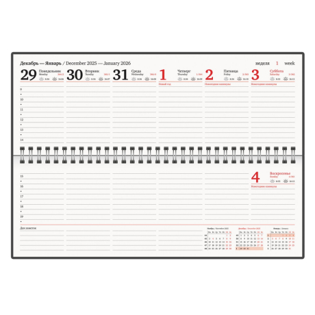 Нарушена упаковка!  <795243> Планинг датированный 2026 305х140 мм BRAUBERG "Up", под кожу, черный, 117234