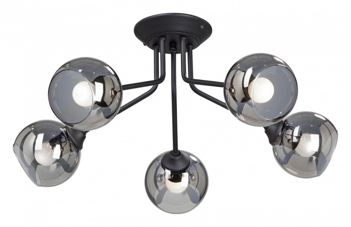 Потолочная люстра Vitaluce  V4724-1/5PL 