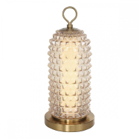 Настольная лампа ST Luce SAGUARO SL6144.304.01