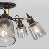 Потолочная люстра Eurosvet Astor 70111/5 черный (a047617)