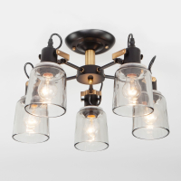 Потолочная люстра Eurosvet Astor 70111/5 черный (a047617)