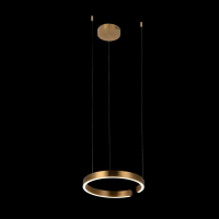 Светильник подвесной светодиодный Loft It Ring 10013S