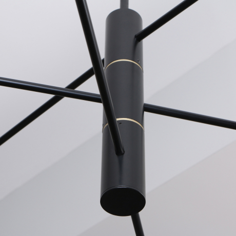 Люстра на штанге Favourite Imma 4375-6P 