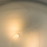 Потолочный светильник Arte Lamp Luna A3440PL-2CC 