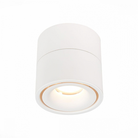 Накладной светодиодный светильник St Luce ST652.542.12 