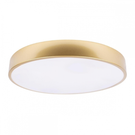 Потолочный светодиодный светильник Loft IT Flims 10228/A 