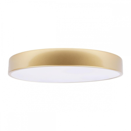 Потолочный светодиодный светильник Loft IT Flims 10228/A 