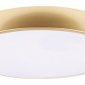 Накладной светильник Loft it Flims 10228/A