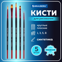 Кисти BRAUBERG PREMIUM, набор 5 шт. (синтетика, круглая № 1, 3, 5, плоская № 5, 8), блистер, 201024 (201024)