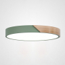 Потолочный светильник Clip Green D40 ImperiumLoft CLIP01 (193047-26) 