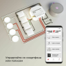 Умное Wi-Fi реле 4 канала Elektrostandard 76005/00 (a059230)