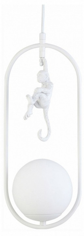 Подвесной светильник EVOLUCE Tenato SLE115123-01 