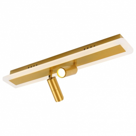 Спот Arte Lamp Tommy A2607PL-22GO 