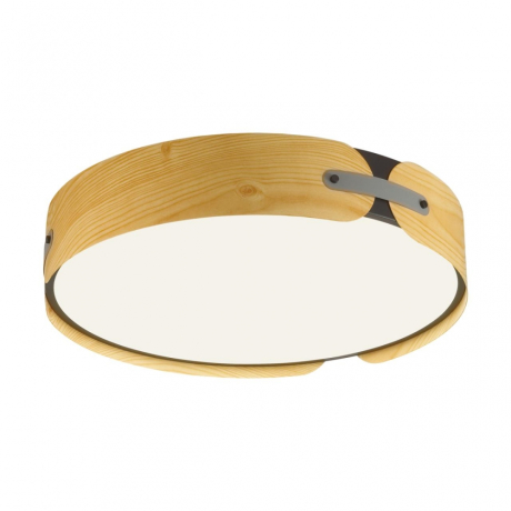 Накладной светильник Sonex Coraggio 7721/100L 