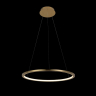 Светильник подвесной светодиодный Loft It Ring 10014M 