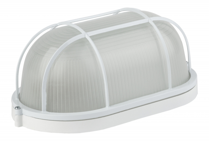 Настенный светильник Эра НБП 04-100-002 (Б0048426) 