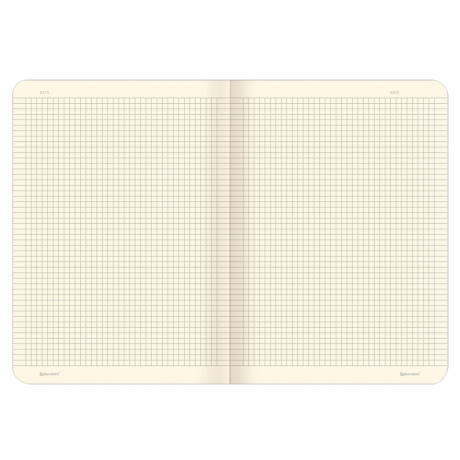 Нарушена упаковка!  <287892> Тетрадь 60 л. в клетку обложка SoftTouch, бежевая бумага 70 г/м2, сшивка, В5 (179х250 мм), FOXY, BRAUBERG, 403815 (403815)