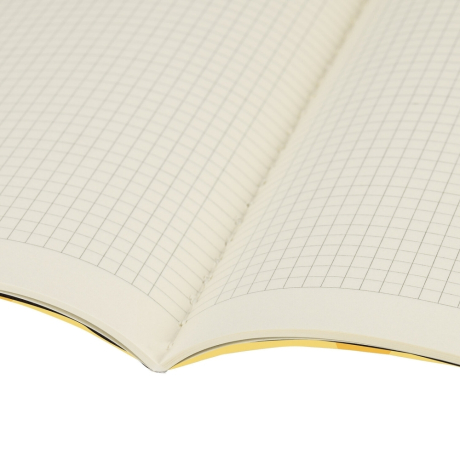 Нарушена упаковка!  <287892> Тетрадь 60 л. в клетку обложка SoftTouch, бежевая бумага 70 г/м2, сшивка, В5 (179х250 мм), FOXY, BRAUBERG, 403815 (403815)