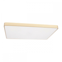 Потолочный светодиодный светильник Loft IT Flims 10228/E