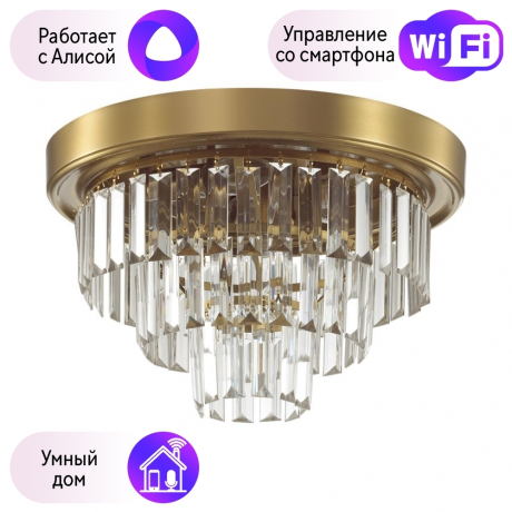 Потолочный светильник Lumion Zaha с поддержкой Алиса 5257/4C-А 