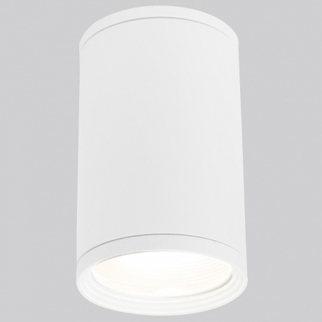 Накладной светильник Elektrostandard Light a056333 