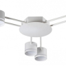 Потолочная люстра Lumion Gareta 8235/6C