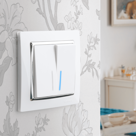 Выключатель двухклавишный с подсветкой без рамки Werkel белый W1120101