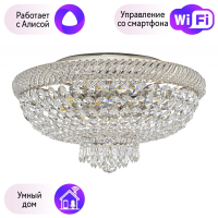 Потолочный светильник Dio DArte Elite с поддержкой Алиса Bari E 1.2.45.100 N-A