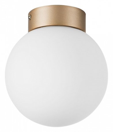 Накладной светильник Lightstar Globo 812013 