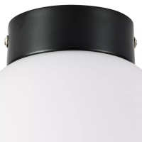 Плафон потолочный Lightstar Globo 812017