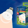 Лампа светодиодная для растений (UL-00001820) E27 10W прозрачная LED-A60-10W/SPFR/E27/CL PLP01WH Uniel 