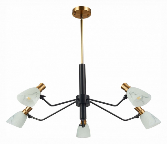 Люстра на штанге EVOLUCE Lita SLE205403-05 