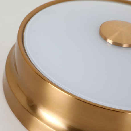 2375-2C Потолочный светильник Favourite Pannikin 