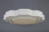 OML-43607-59 Потолочный светильник Omnilux Daren