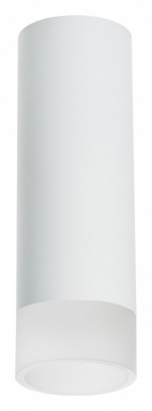 Накладной светильник Lightstar Rullo R48631 